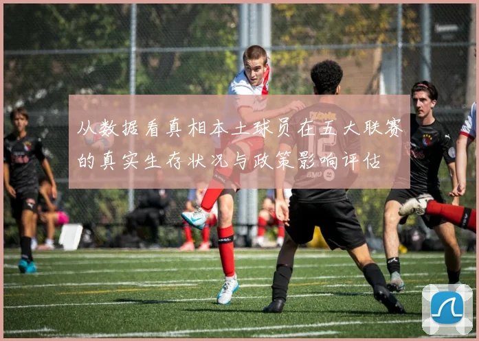 从数据看真相本土球员在五大联赛的真实生存状况与政策影响评估